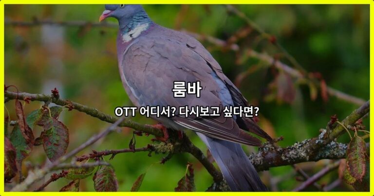 룸바 OTT 어디서? 다시보고 싶다면?