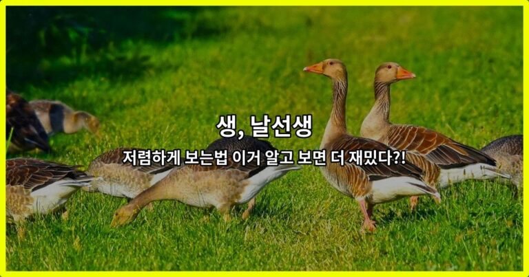 생, 날선생 저렴하게 보는법 이거 알고 보면 더 재밌다?!