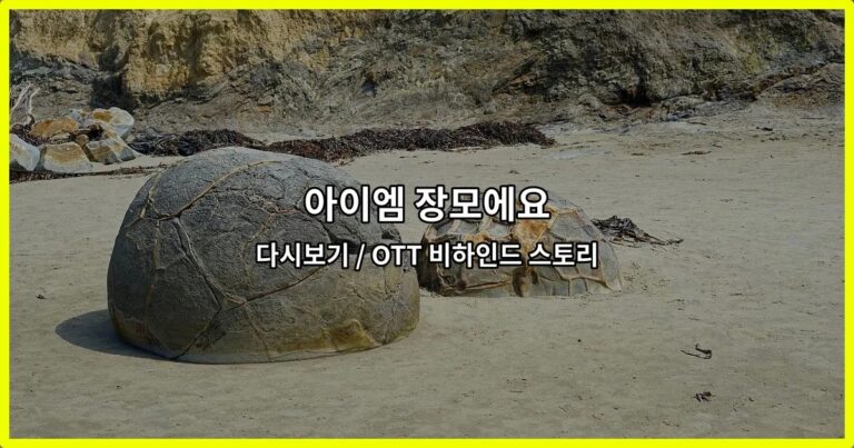 아이엠 장모에요 다시보기 / OTT 비하인드 스토리