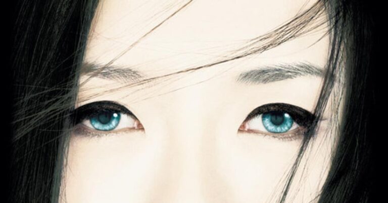 게이샤의 추억 OTT 어디서? 다시보기 방법